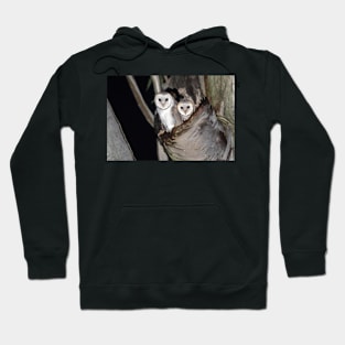 Barn Owls: Waiting For Dinner Hoodie